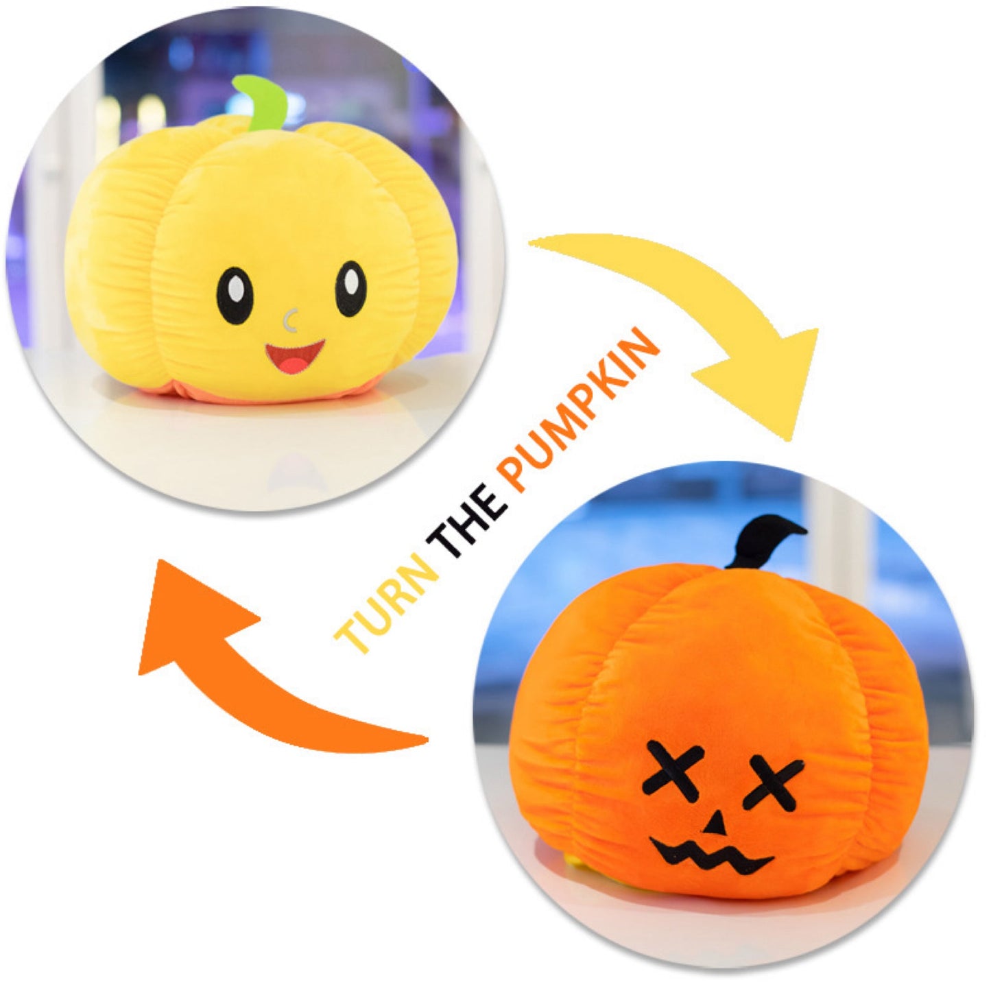 Moody Animals - Pumpkins, Ghost, Dog, & Cat - PREORDER