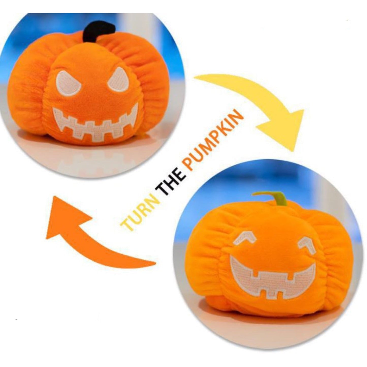 Moody Animals - Pumpkins, Ghost, Dog, & Cat - PREORDER
